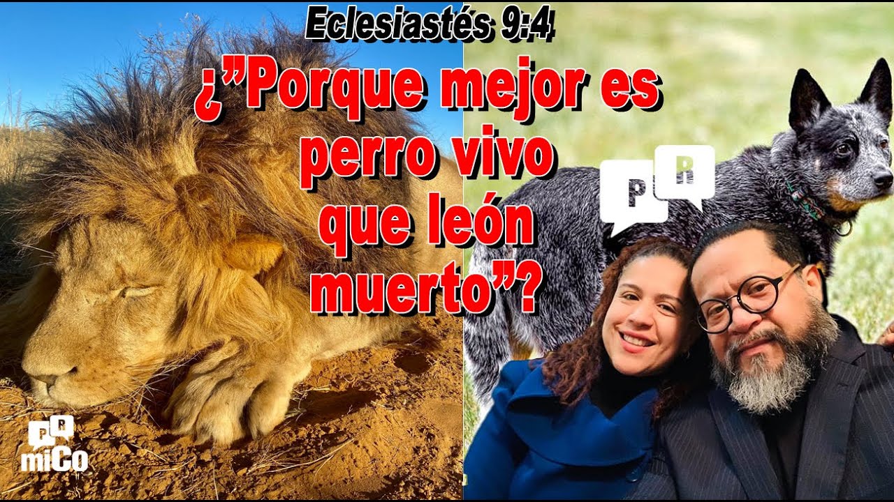 Eclesiastés 9:4 ¿”Porque mejor es perro vivo que león muerto”? - YouTube