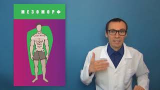 Питание по типу телосложения: эктоморф, мезоморф и эндоморф