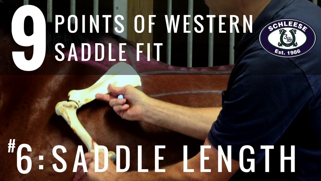 Tip #6: Saddle Length - The 9 Points of Western Saddle Fit