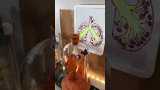 In 2025 there were multiple studies, confirming new cases of vaping induced bronchitis #psa