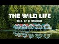 The wild life the story of nimmo bay