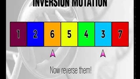 Inversion Mutation - Genetic Algorithms