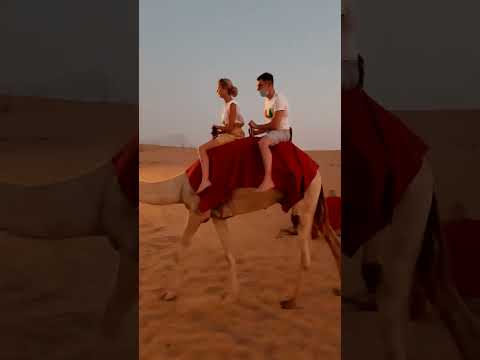 Сафари, ОАЭ