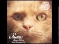 Sonic Future - Mr Dust (Original Mix) [Suara[