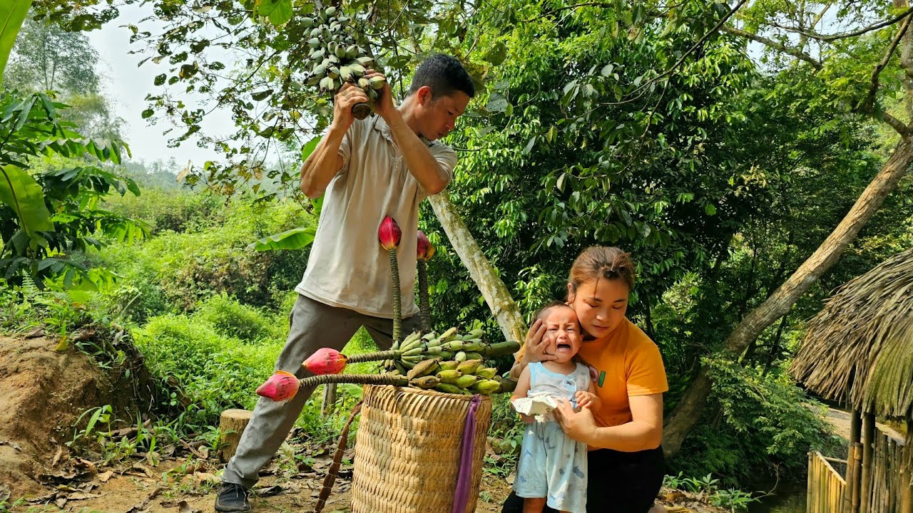 Harvesting wild bananas to sell - taking care of an abandoned baby together - Nong Van Chuong