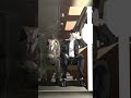 King of Improvisation #manhwa #webtoon #acting