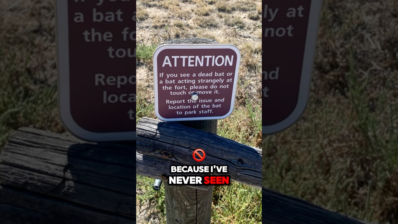 Some of the SCARIEST Warning Signs I’ve Seen This Year 