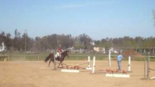 horses (1)