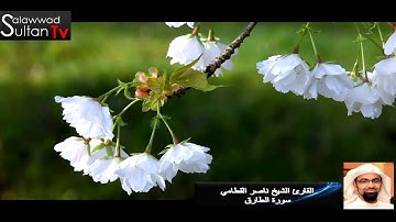 فديو HD القارئ ناصر القطامي سورة الطارق I قناة سلطان العواد