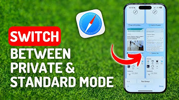 How to Switch Between Private Mode & Standard Tab Mode in Safari - [iPhone 15 Pro]