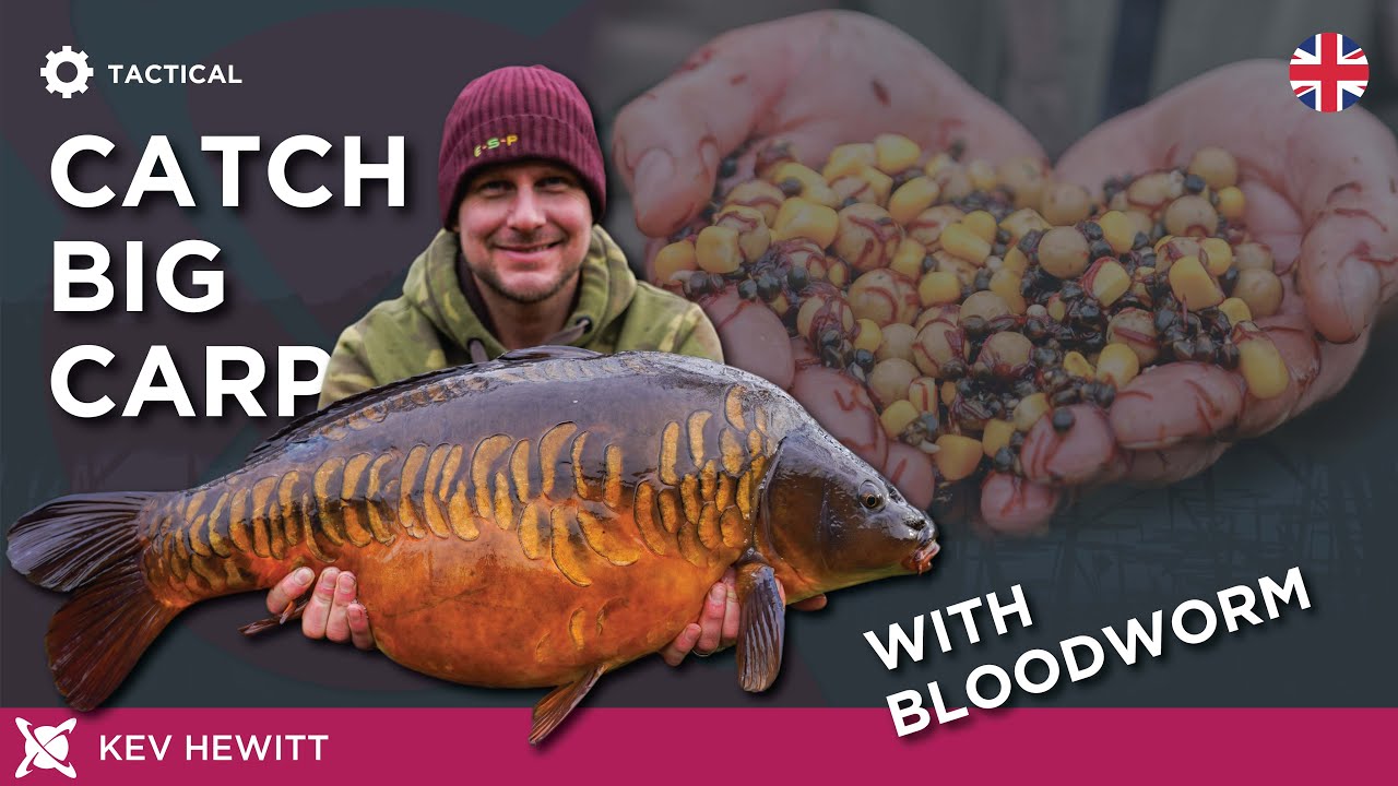 Catch BIG CARP Using Bloodworm!- Kev Hewitt 