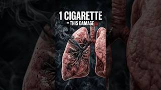 What Your Lungs Really Look Like (You Won’t Expect This)