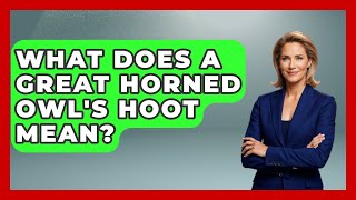 What Does A Great Horned Owl s Hoot Mean - Bird Watching Diaries