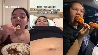 What I Eat In A Day As A Fat Person TikTok Compilation