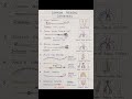 #nursingstudent #medicalstudent #doctor #viral #explore #youtubeshorts #education #nursing