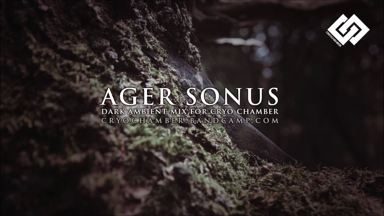 Nature Ambience - YouTube