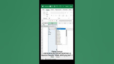 Dua cara membuat nomor urut otomatis di #excel #exceltips #exceltutorial #exceltricks #shorts