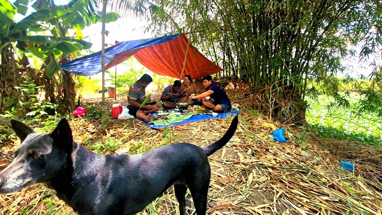 Tập 12.2026 || Lươn Đồng || Lịch Đồng || Nấu Canh Chua Trái Bần