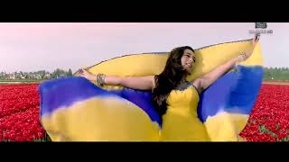 carkice carcebo dire dire..Hd video