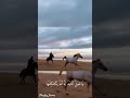 فتى يخوض غمار الحرب مبتسما