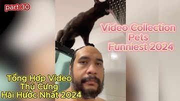 Tổng Hợp Video Thú Cưng Hài Hước Nhất 2024 |Video Collection Pets  Funniest 2024 | Part 30.