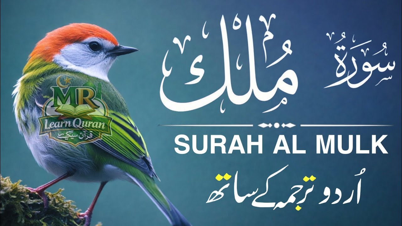 Surah Al-Mulk سورة الملك | Heart-Calming Recitation for Protection, Peace & Night | Qari Mansoor 