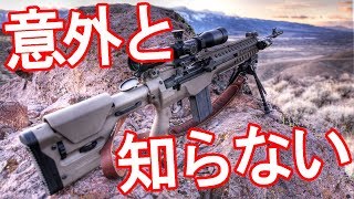 バトルライフルとアサルトライフルの違い【NHG】