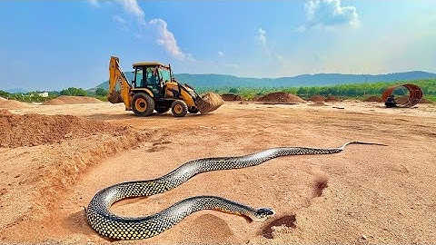 JCB khudai work JCB 3dx Backhoe fully Loading Mud in Mahindra 475 #jcb #jcbvideo #farming