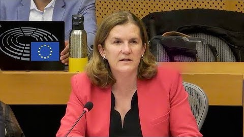 IMCO meeting on EU Commission