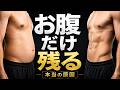 お腹の脂肪が落ちない本当の理由【科学】