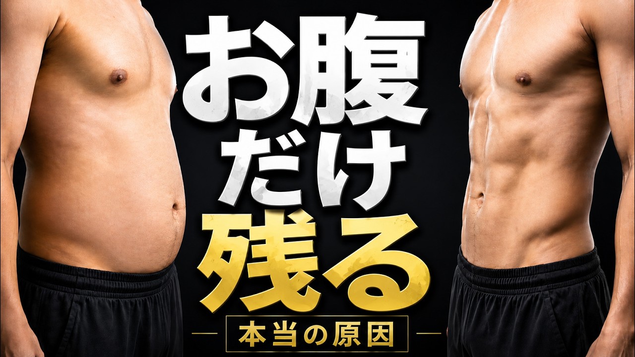 お腹の脂肪が落ちない本当の理由【科学】
