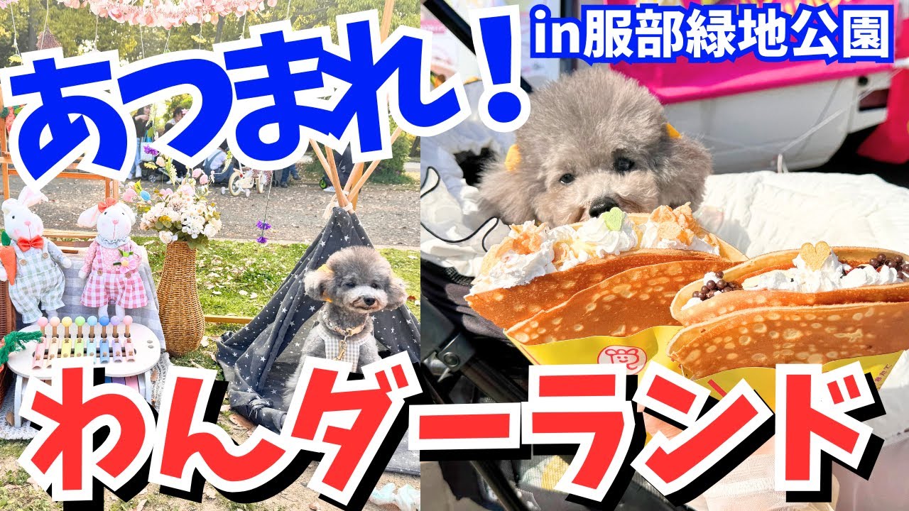 【あつまれ！わんダーランド】愛犬と一緒に楽しむショッピング&イベントが楽しすぎた！