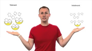 Combinatorial Regulation - Tales from the Genome