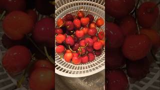 CHERRIES #shorts#fruit#trending