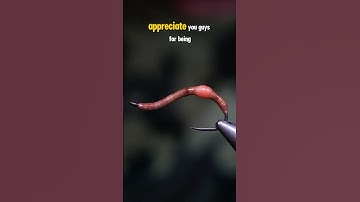 Earthworm Fly!
