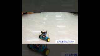 STM32 Self-Balancing Car Demo | PID Control, IMU Sensor &amp; Two-Wheel Robot#STM32 #SelfBalancingRobot