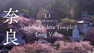 [桜ドローン撮影4K] 奈良県壺阪寺の大仏桜 Tsubosaka-dera Temple, Nara (Long Ver. )｜桜ドローンプロジェクト