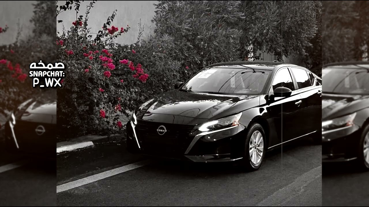 دبكه سوريه | خد شويقي شحلاته تفاح الشام والبرطم لوز وسكر تمر الدمام