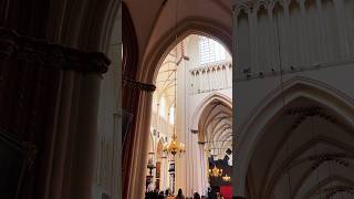 Discover Bruges Most Beautiful Cathedral