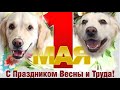 Мир! Труд! Май!