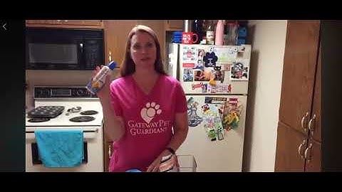 Kong Recipe Video with Coco