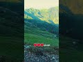 kashmir view