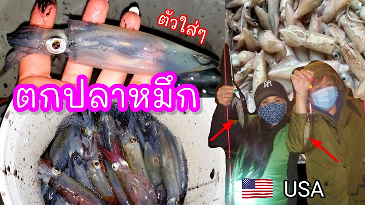 ตกปลาหมึก ตอนเที่ยงคืน สดๆจากทะเล/ fishing for squid / เที่ยวในอเมริกา/