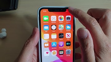 iPhone 11 Pro: Two Ways to Turn Cellular Data On / Off