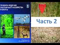 Белорусские Правила охоты 2018 - минное поле...