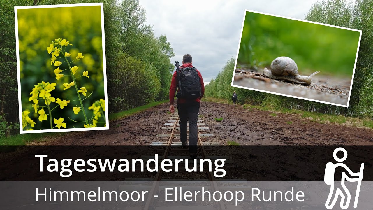 Himmelmoor - Runde vom Wanderparkplatz bei Ellerhoop (21,7Km) | Nahe Quickborn | Tageswanderung