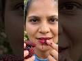 Viral Get Instant Red Lips with This Fruit! 👄 🇺🇸#viralvideo#Mulberry