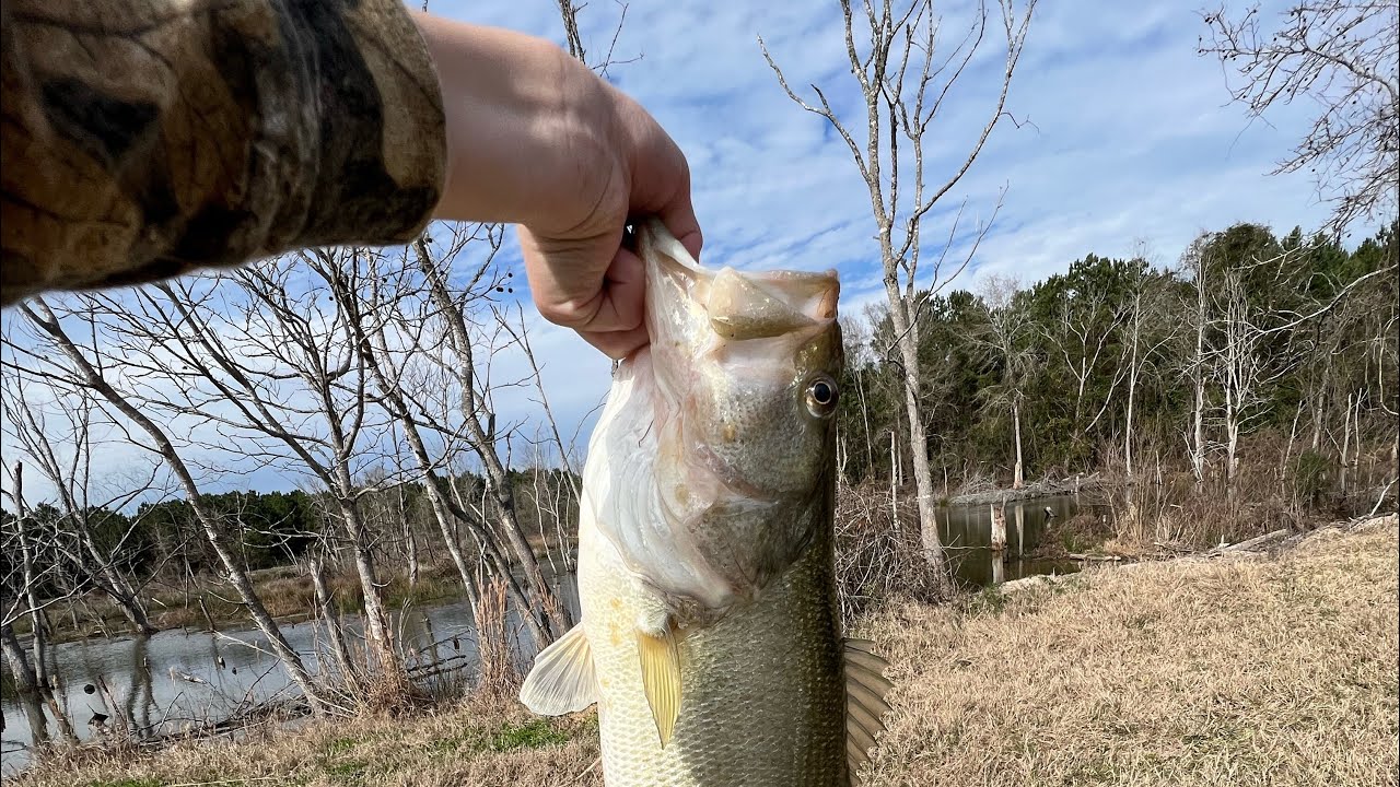 Bass fishing in early February!!! # Fishing # Outdoors
