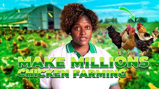 How to start a local chicken Farm |Make Millions