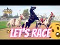 Let&#39;s race Lady Ranger and Gamer! Our expensive mascot horses! Rival Stars Horse Racing